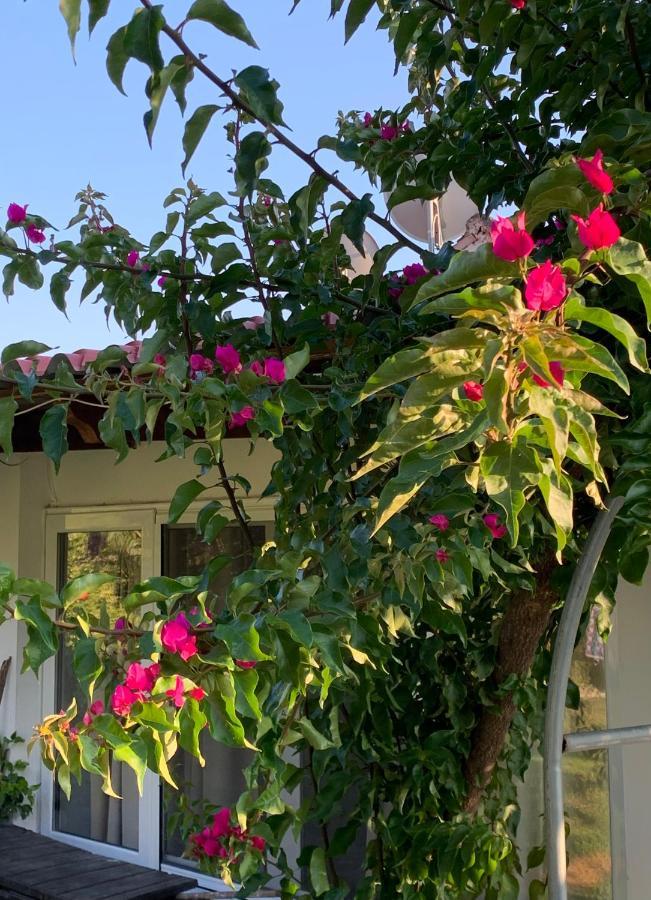 La Casa Di Mare Villa Agios Gordios  Buitenkant foto